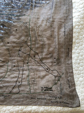 Load image into Gallery viewer, Exceptional beaded Hermès silk chiffon shawl “Le Pegase Lumiere” 140