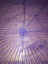 Load image into Gallery viewer, Precious Embroidered Hermes Silk Scarf “Soleil Du Soir” 140