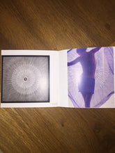 Load image into Gallery viewer, Precious Embroidered Hermes Silk Scarf “Soleil Du Soir” 140