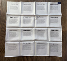 Load image into Gallery viewer, Special VIP Hermes silk twill scarf “16 Carres Double Face”