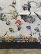 Load image into Gallery viewer, Hermes Cashmere and Silk GM Shawl « Champignons » by Anna Gavarni/Francoise de la Perriere