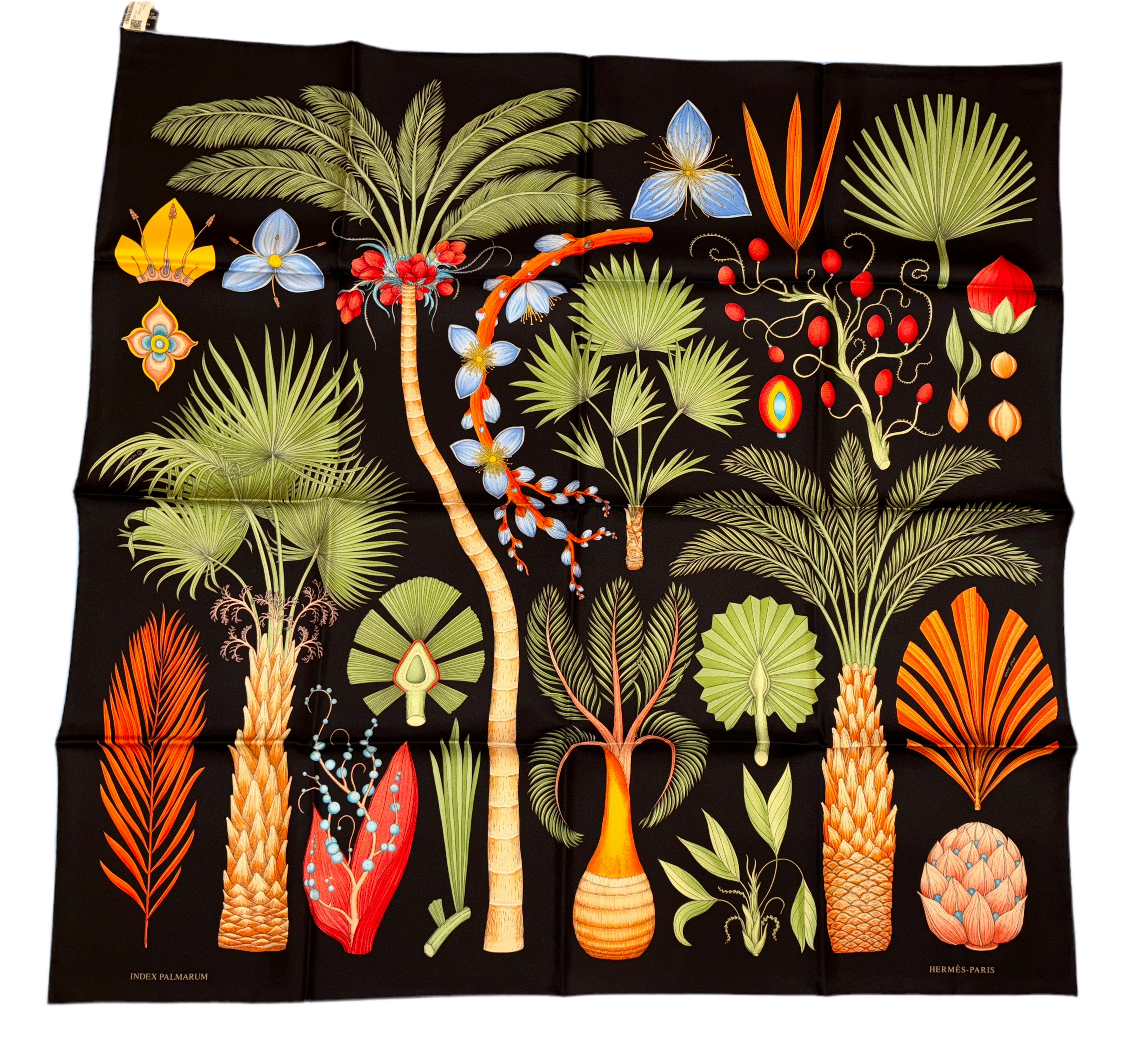 Hermes Silk Scarf “Index Palmarum” by Katie Scott. – Hermes