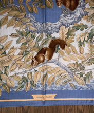 Load image into Gallery viewer, Hermes Cashmere and Silk GM Shawl “Casse-Noisette” by Antoine de Jacquelot