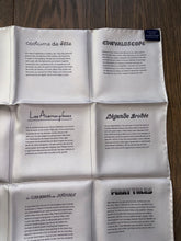 Load image into Gallery viewer, Special VIP Hermes silk twill scarf “16 Carres Double Face”