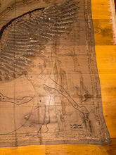 Load image into Gallery viewer, Exceptional beaded Hermès silk chiffon shawl “Le Pegase Lumiere” 140
