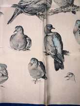 Load image into Gallery viewer, Hermes Silk Twill Scarf « Tourterelles » by Xavier de Poret.