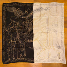Load image into Gallery viewer, Hermes Silk Plume Scarf Le Pegase d’Hermes” by Christian Renonciat 140