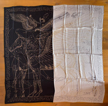 Load image into Gallery viewer, Hermes Silk Plume Scarf Le Pegase d’Hermes” by Christian Renonciat 140