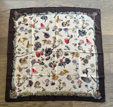 Load image into Gallery viewer, Hermes Cashmere and Silk GM Shawl « Champignons » by Anna Gavarni/Francoise de la Perriere