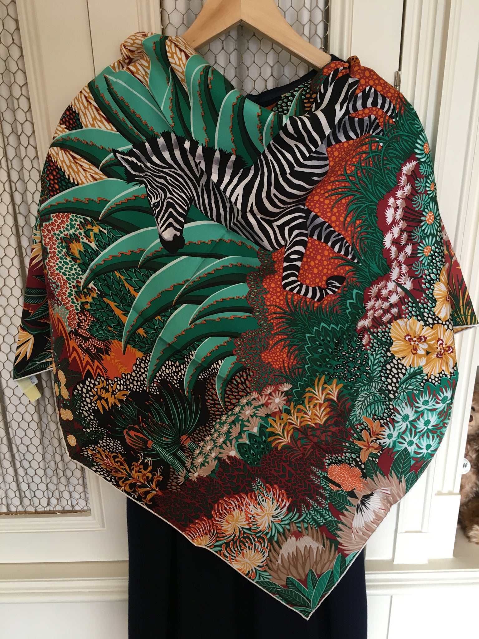 Mountain zebra hermes Clearance